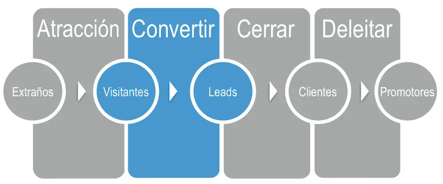 Proceso Lead